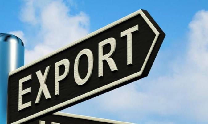 Беларусь ввела временный запрет на вывоз отдельных видов промтоваров