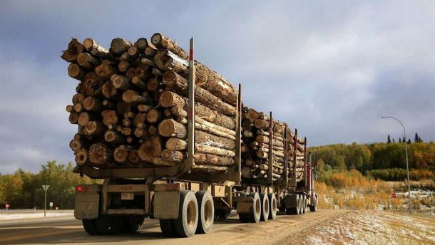 Об особенностях проведения в Республике Беларусь таможенного контроля при вывозе лесоматериалов и продукции деревообработки за пределы таможенной территории ЕАЭС