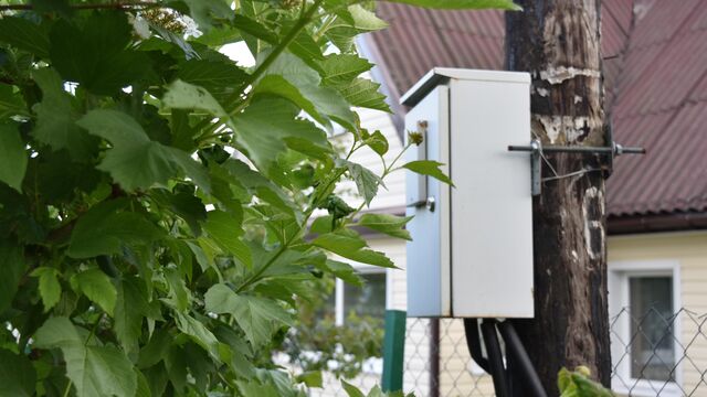 Дачники из льготных категорий будут платить за электричество по отдельному субсидируемому тарифу